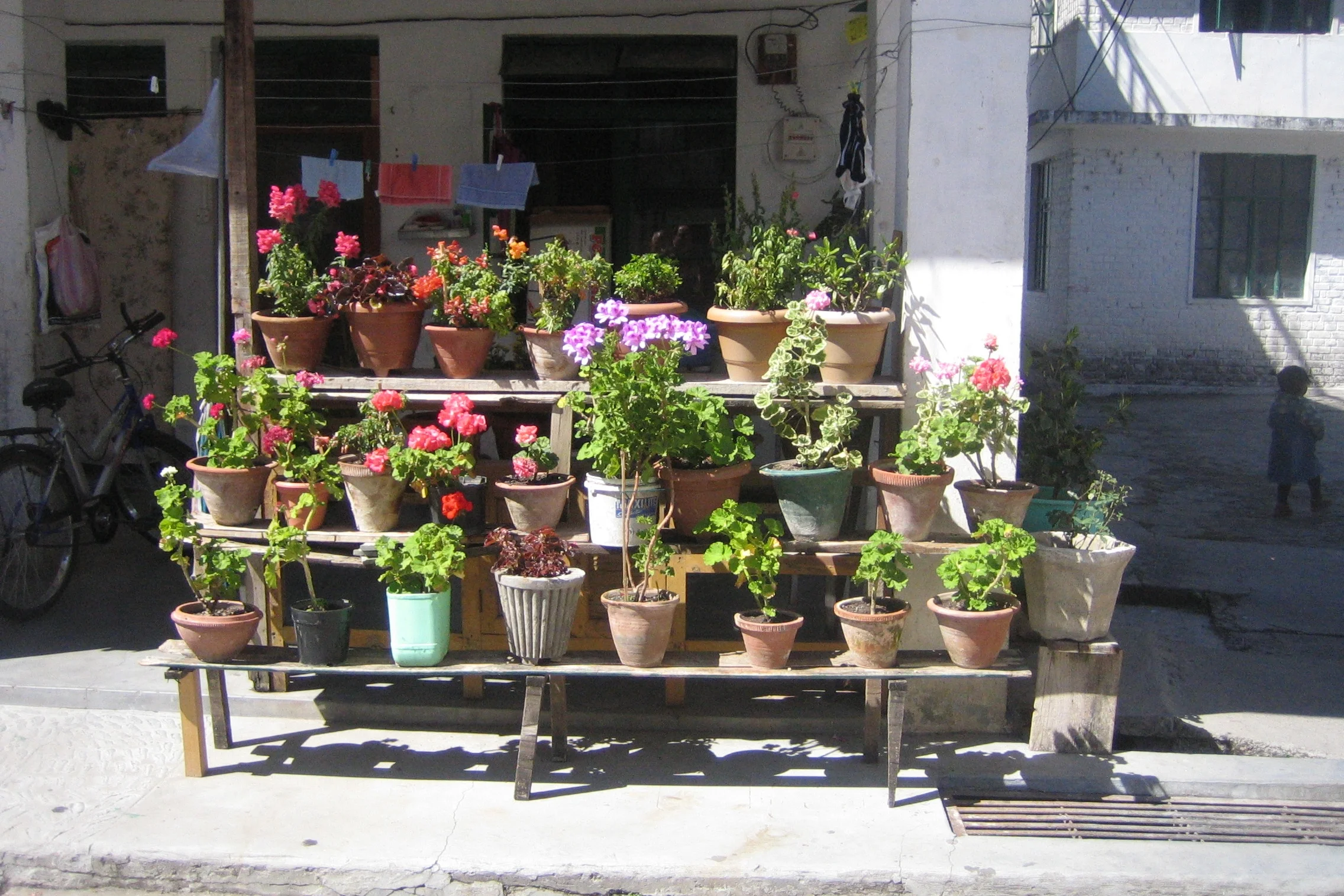 Bruken av blomsterpotter er kreativ og fin