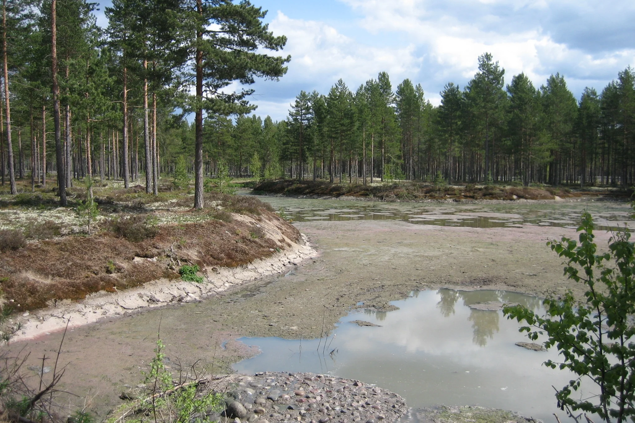   RENSEPARK RENA  Feste NordØst   