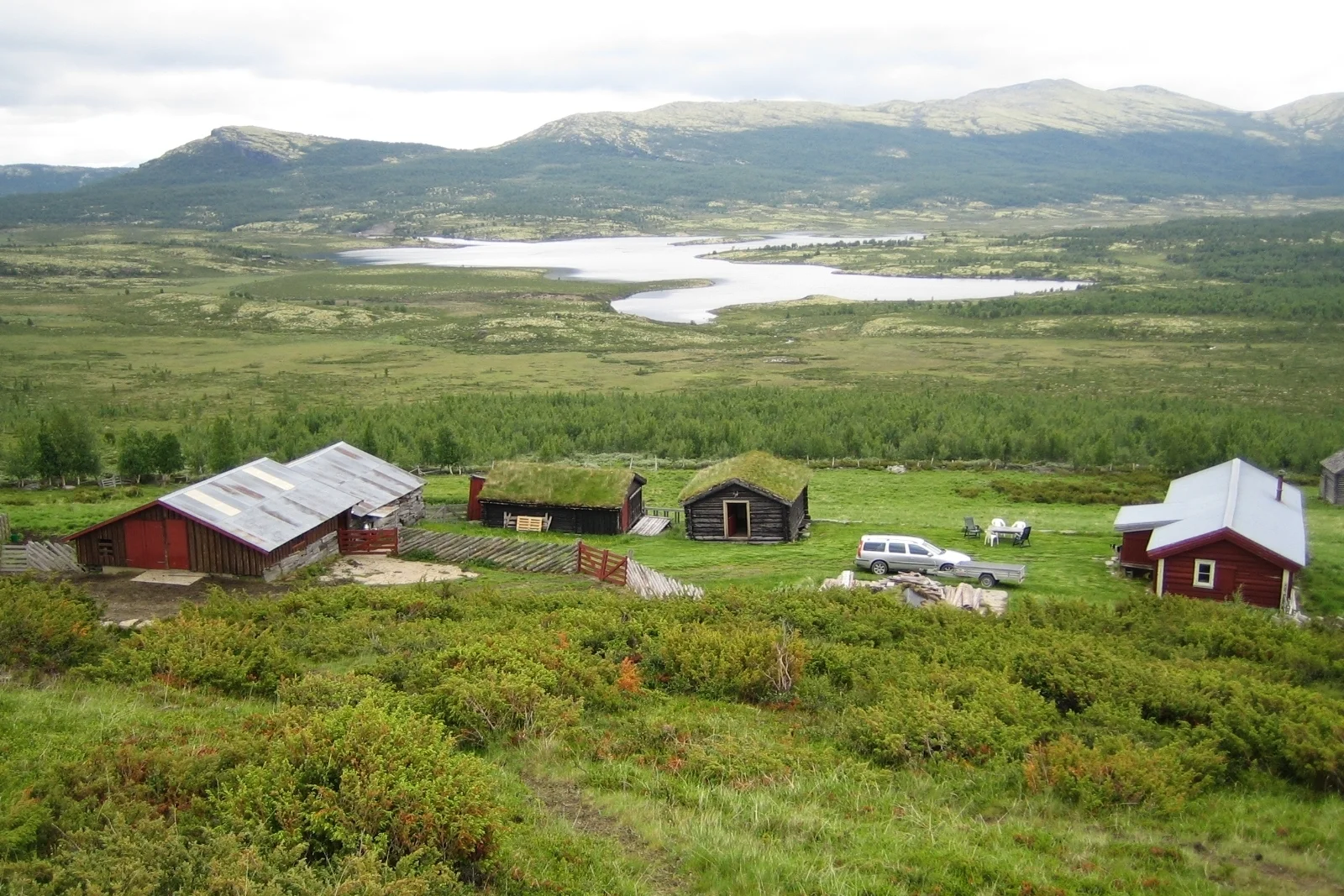   MARKBULIA  Feste NordØst   