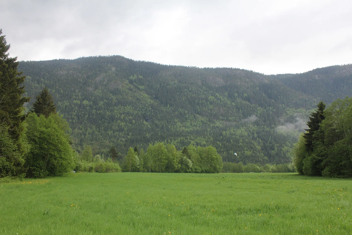   E-134 ÅRHUS/GVAMMEN  Feste Sør   