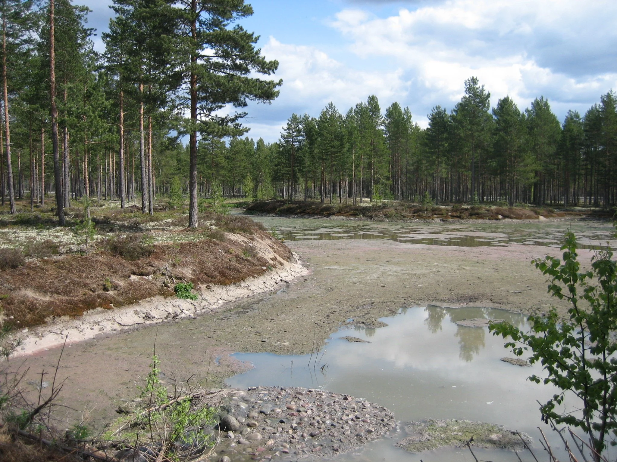   RENSEPARK RENA  Feste NordØst   