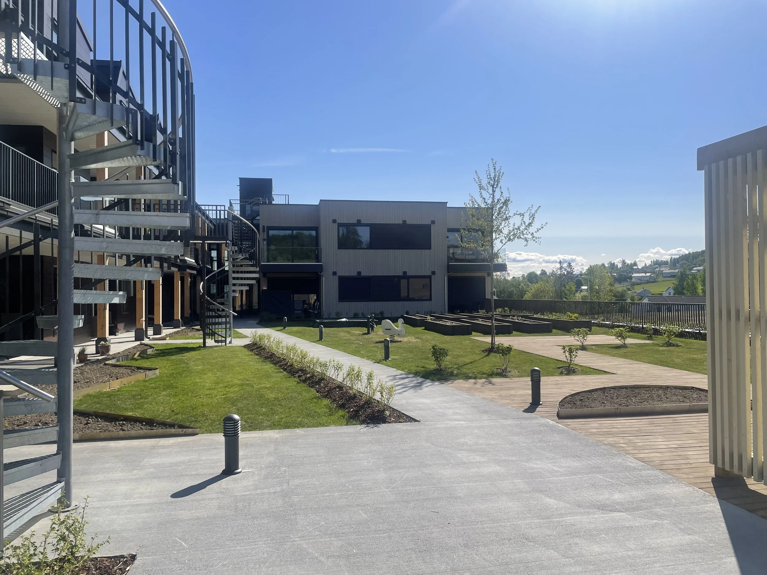 bilde 3 kiwi kapp.JPG