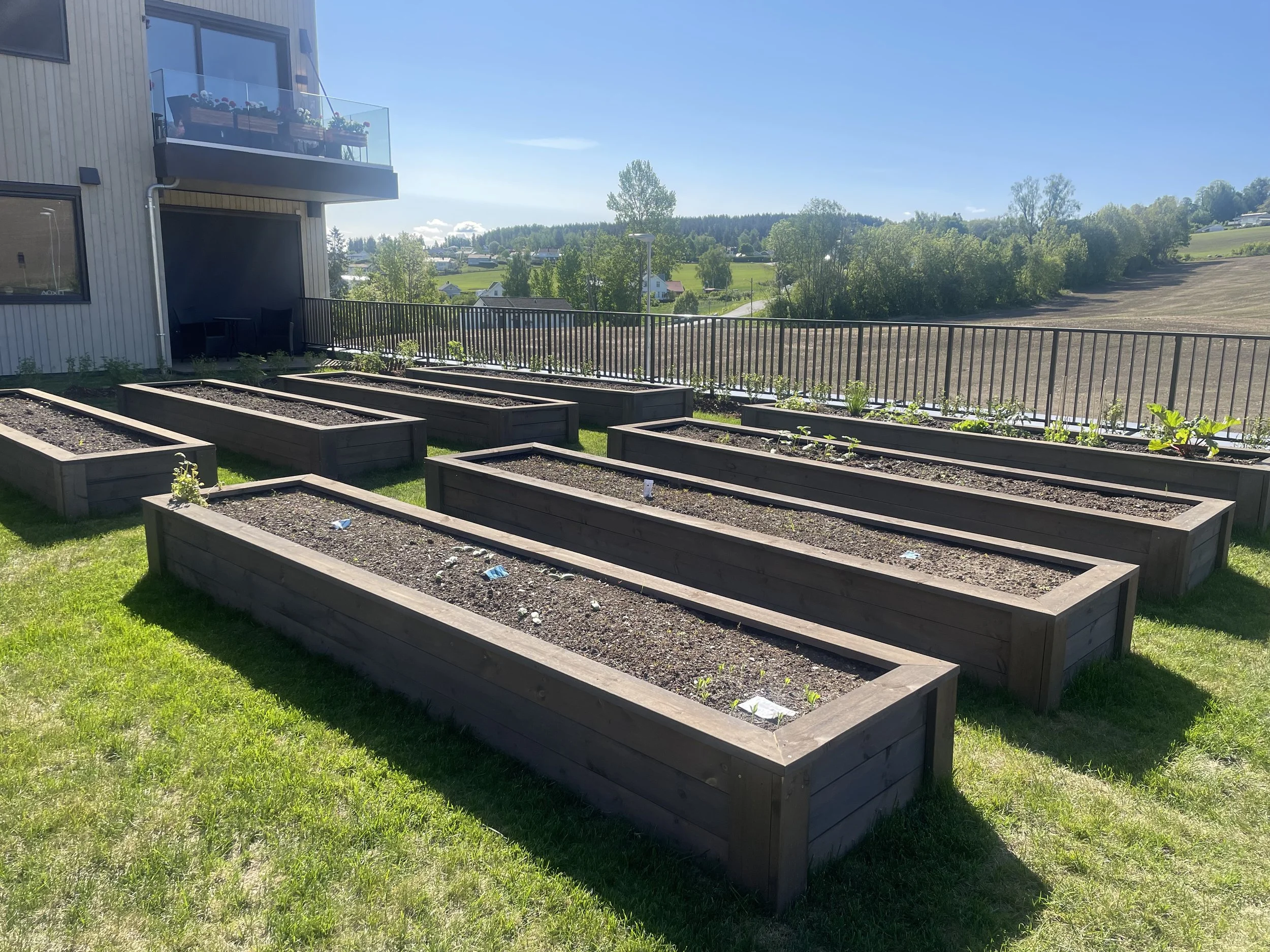 bilde 4 kiwi kapp.JPG