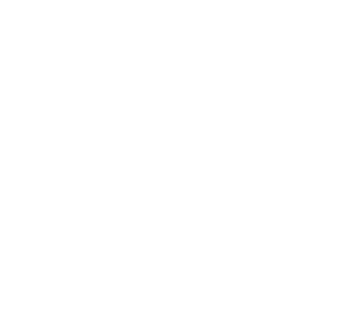 logo_adidas.png