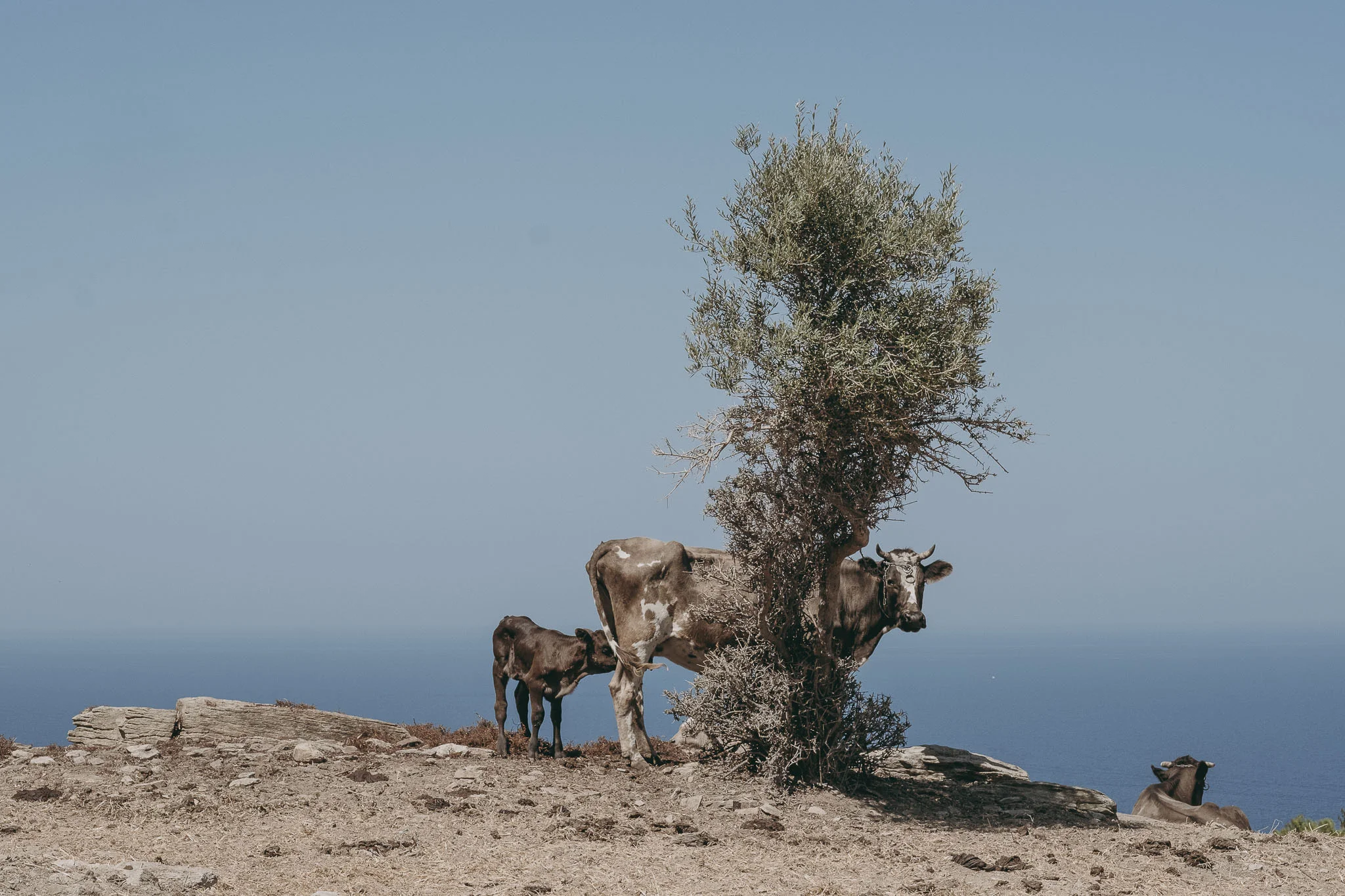 LB_Ikaria_2018-15.jpg