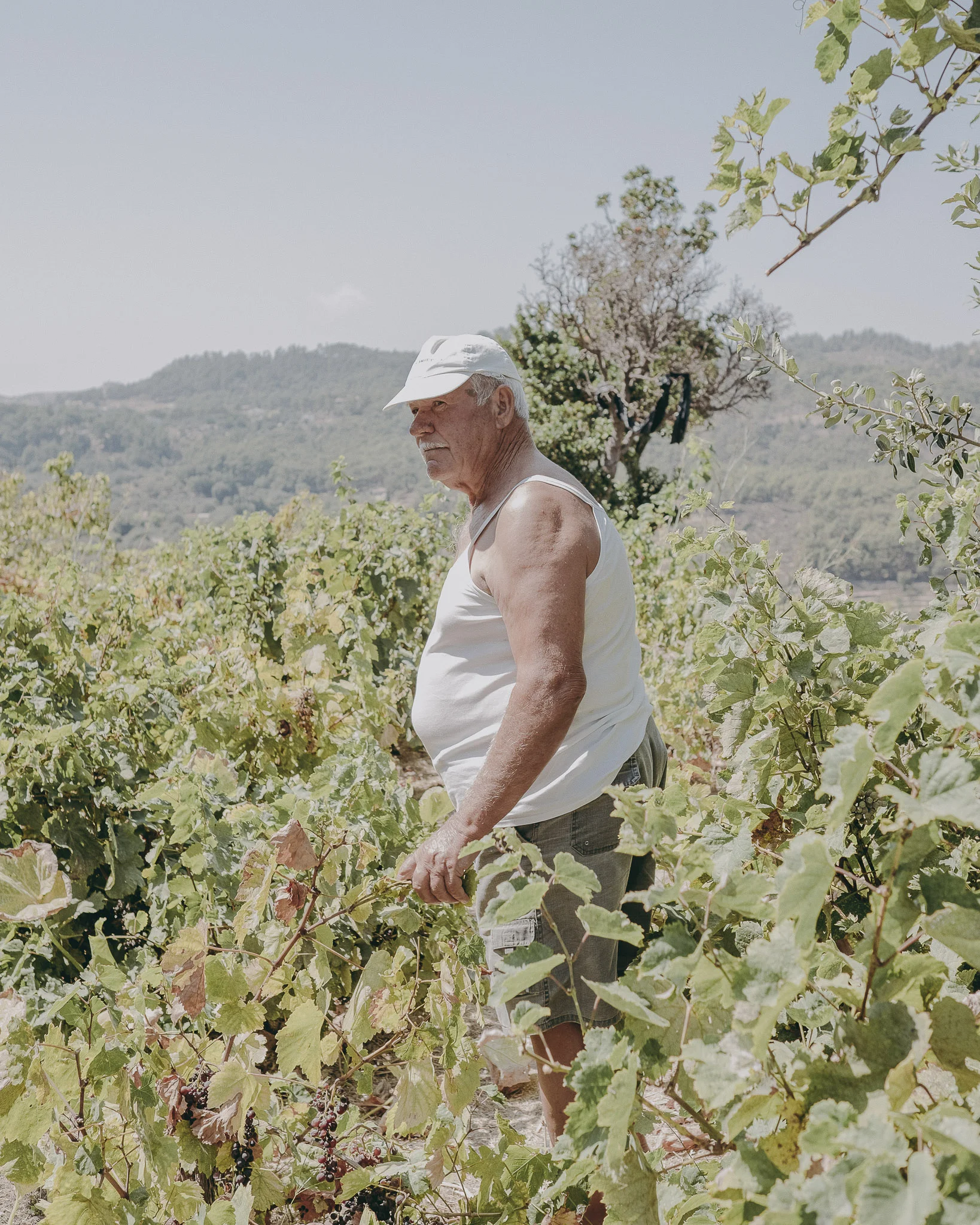 LB_IKARIA_2018-1-2.jpg