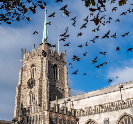 Lunchtime concert at Chelmsford Cathedral
