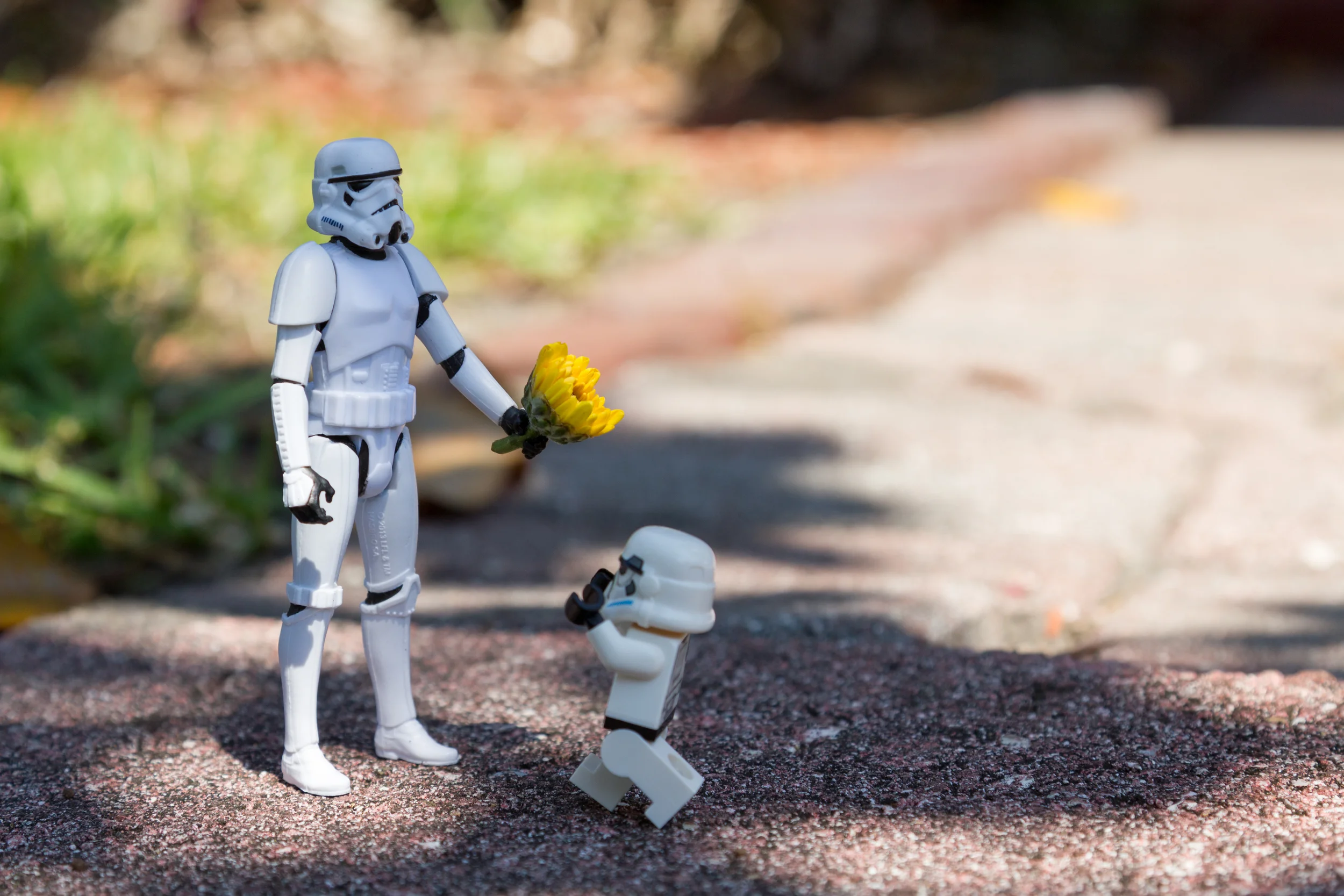 untitled (1 of 1).jpg