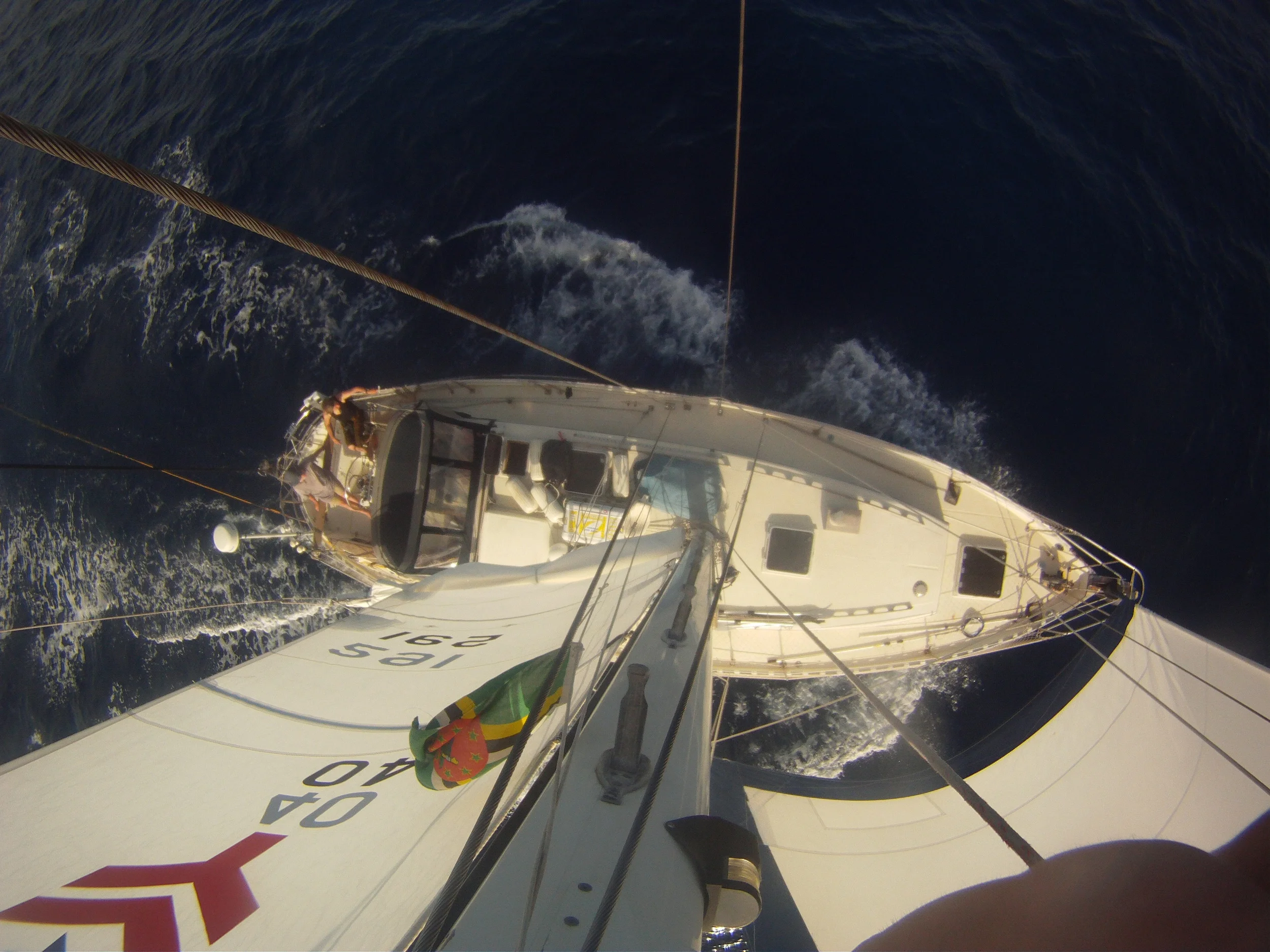 Balaena from mast - Marina Milligan.JPG