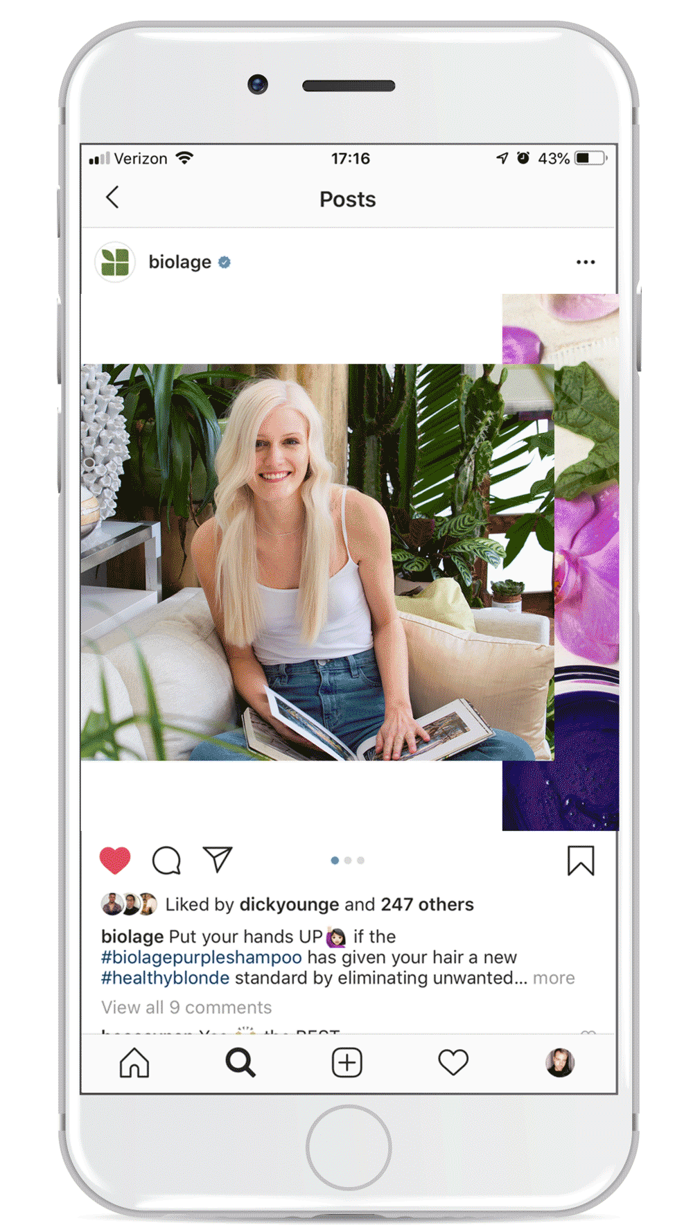   BIOLAGE PURPLE SHAMPOO    art director:  adam snyder  photographer:  brayden olson 