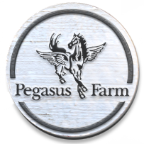 Pegasus Farm