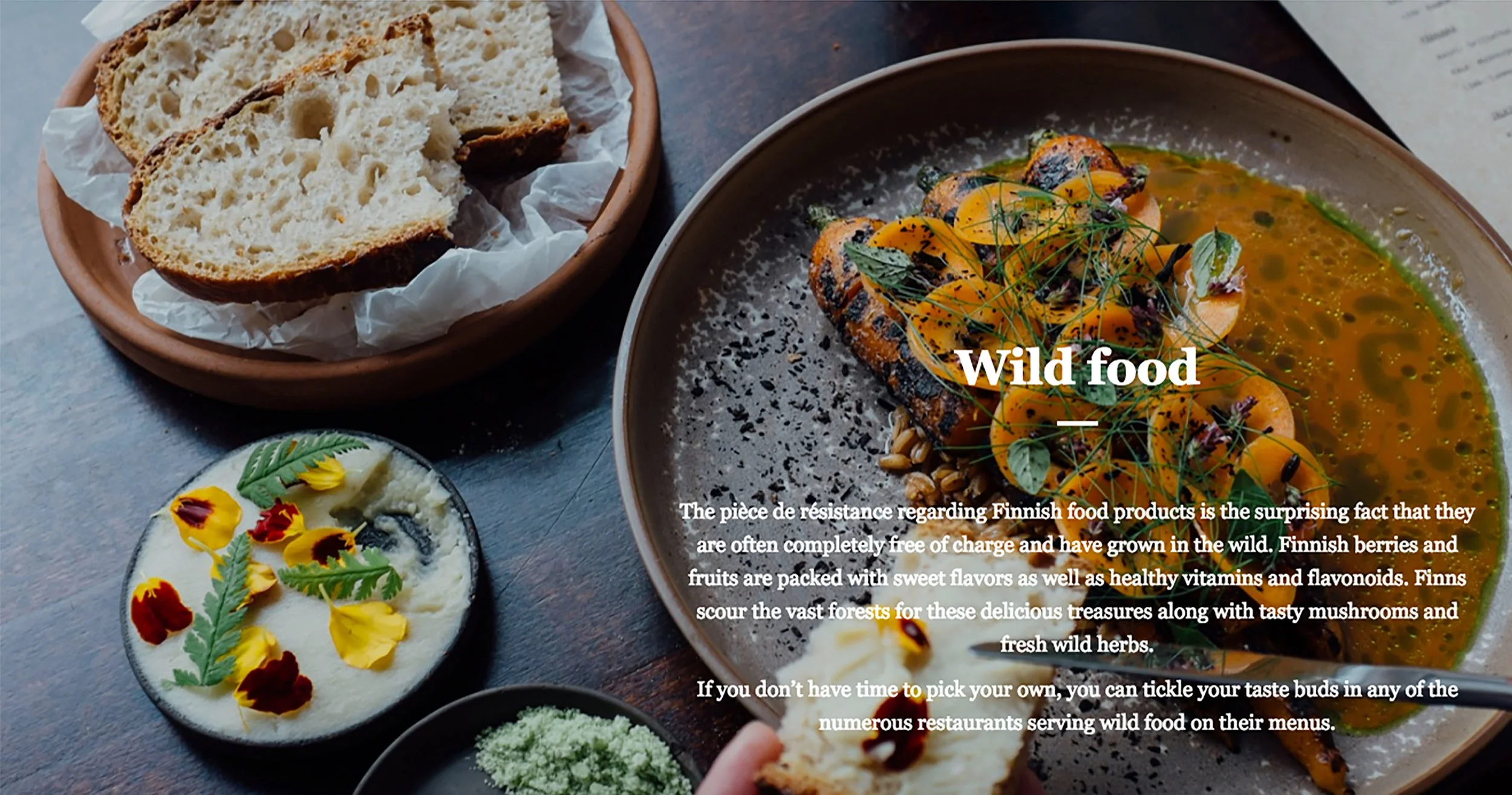 Plates presented in the visitfinland website. visit the website