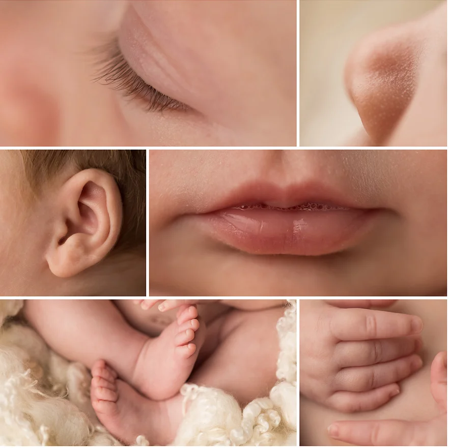 All the perfect little parts. ❤️