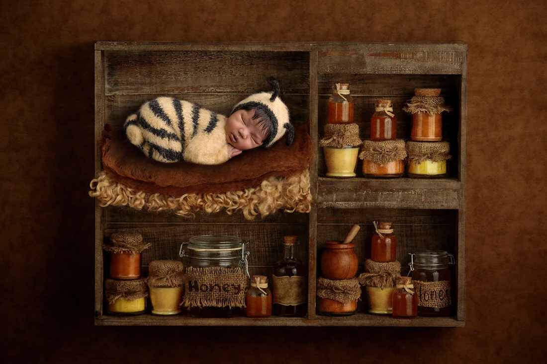 bumble bee newborn in honey shelf prop