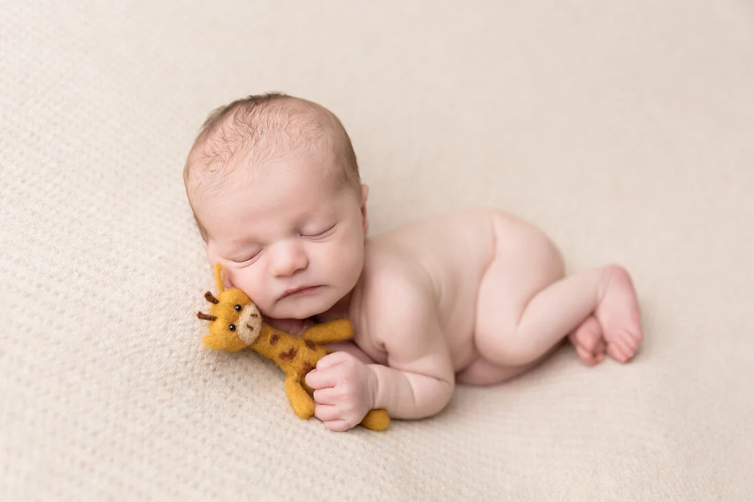 newborn boy with giraffe stuffie