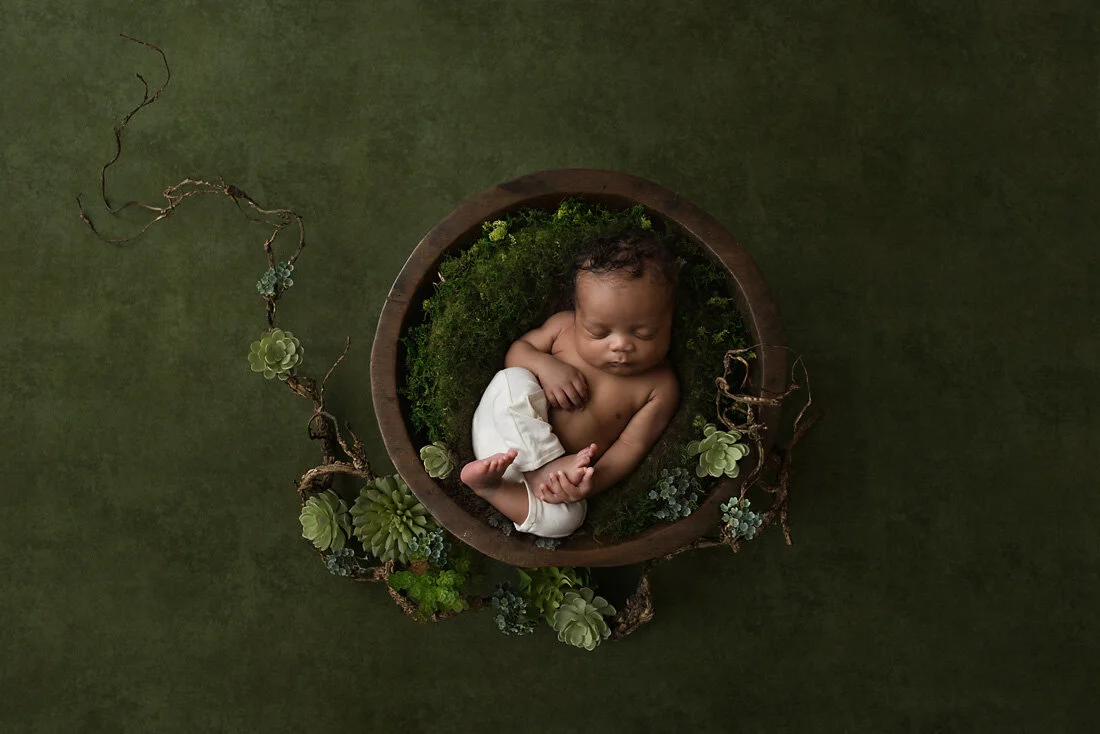 newborn boy in succulent wreath