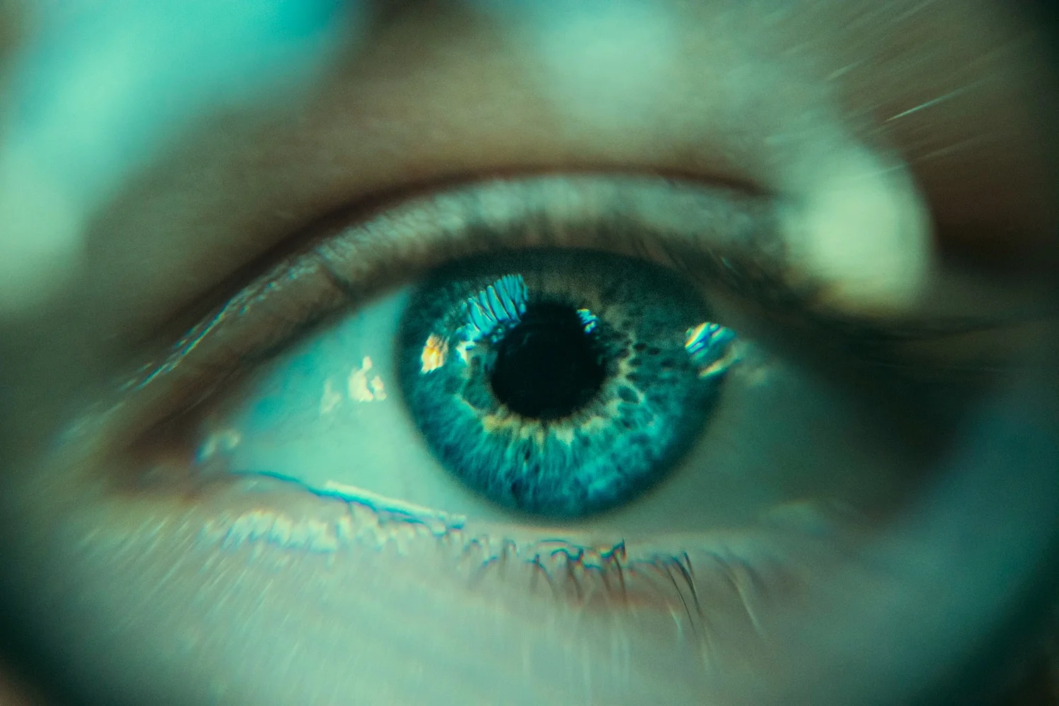 Photo by Daniil Kuželev on Unsplash