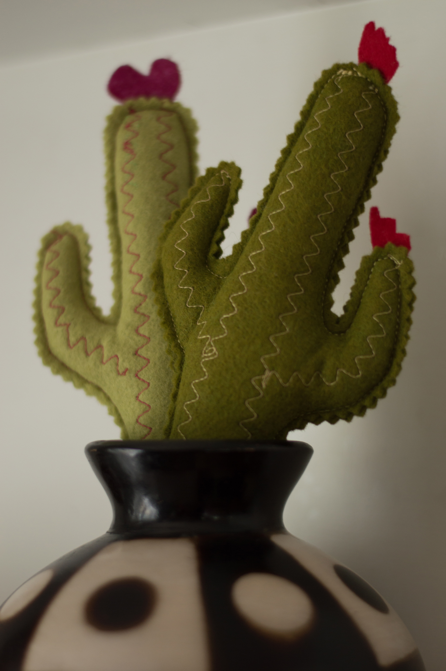 Cacti felt friends. Because, why not?