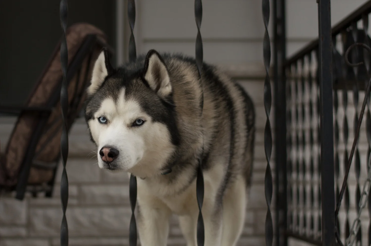 Wabi-Sabi Streetview: First Ward, Morgantown, WV