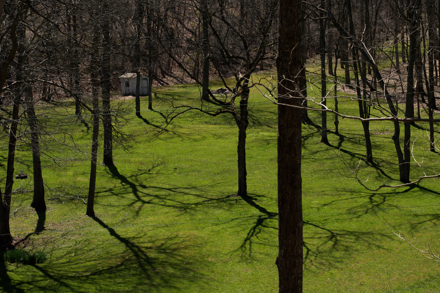 A Weekend in the Country
