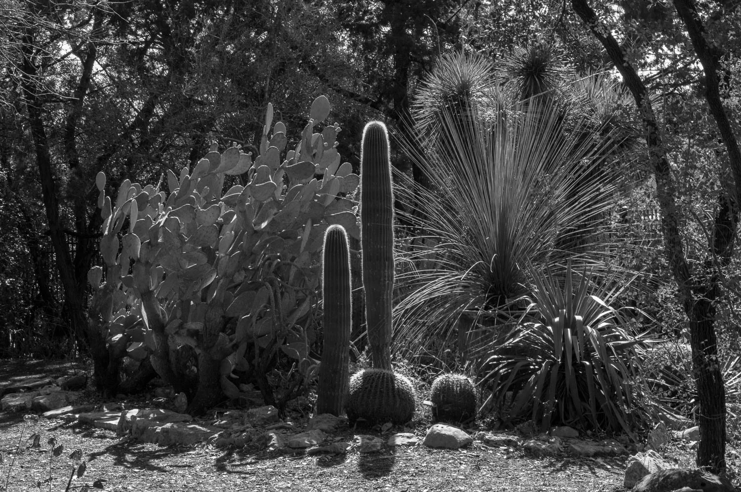 Austin 2018 for web (21 of 59).jpg