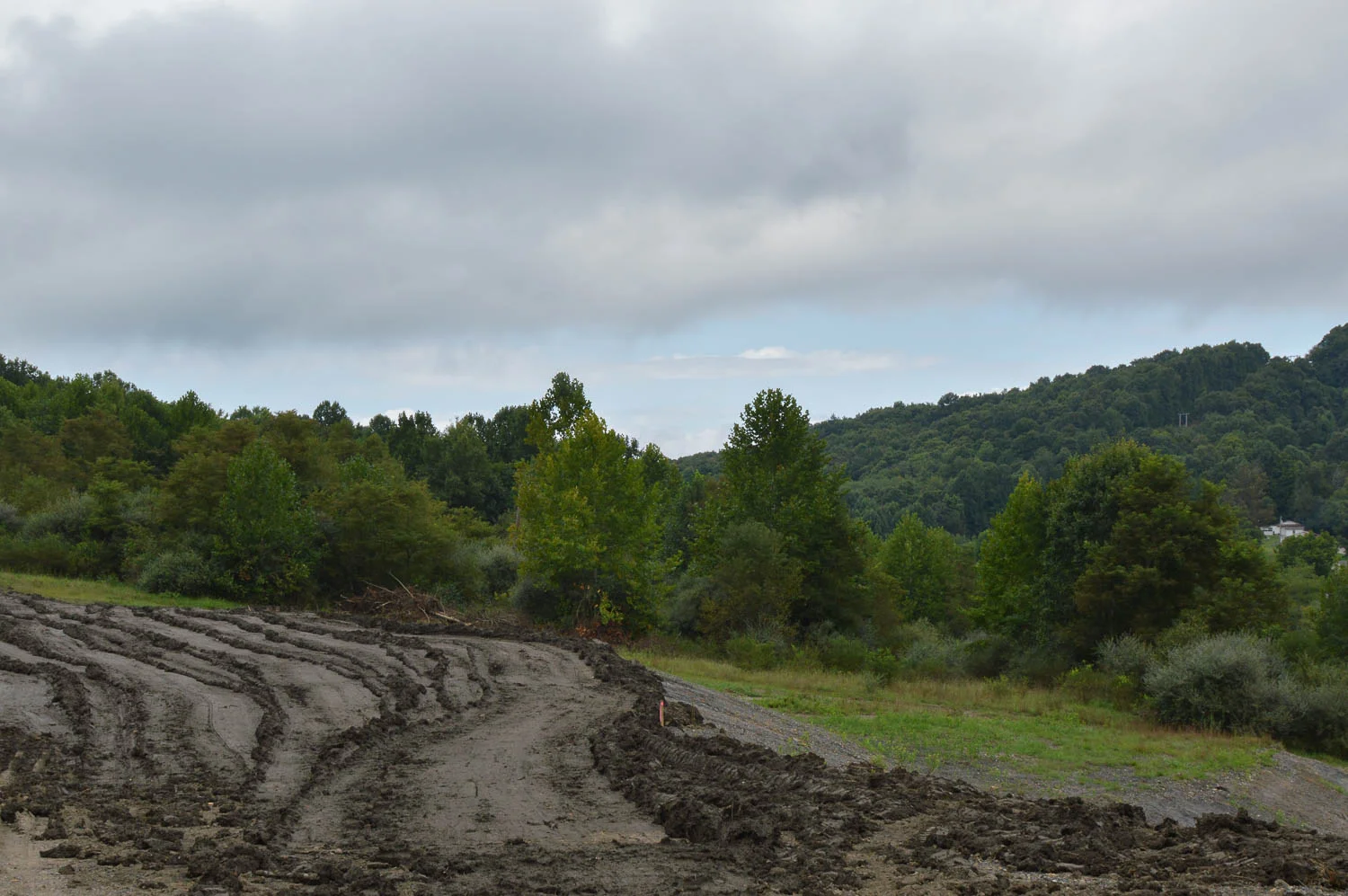 OSR site (17 of 28).jpg