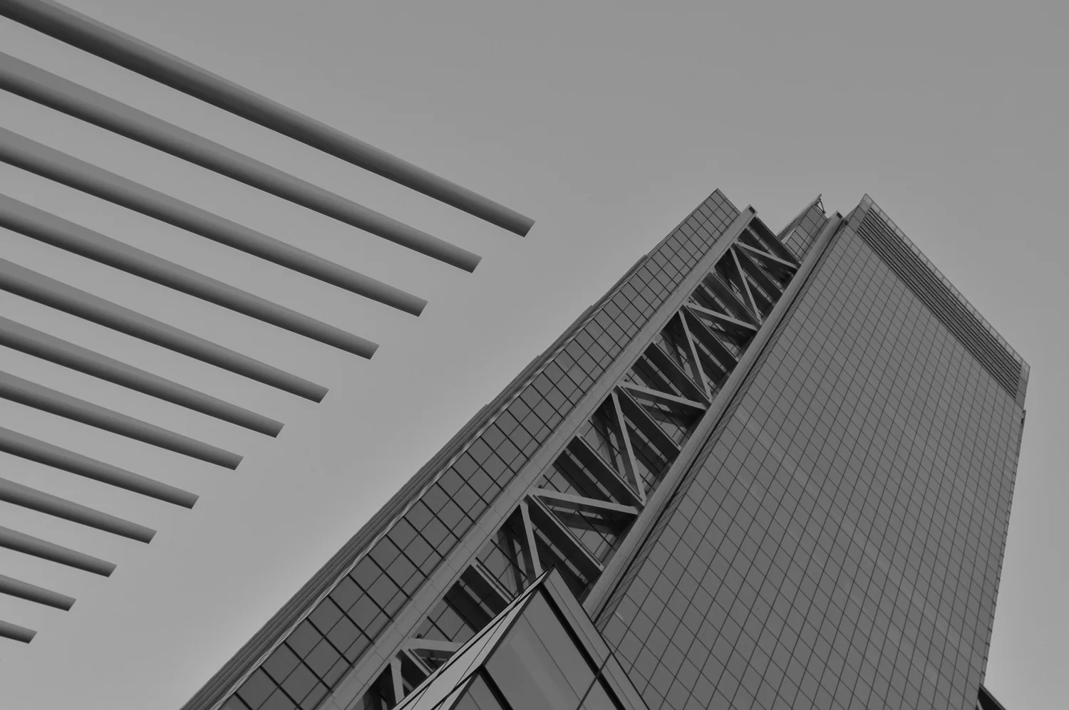 untitled-97.jpg