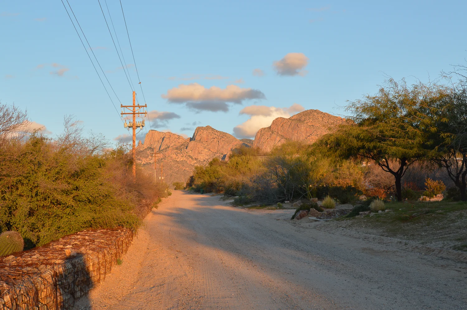 Tucson 2019 (66 of 94).jpg