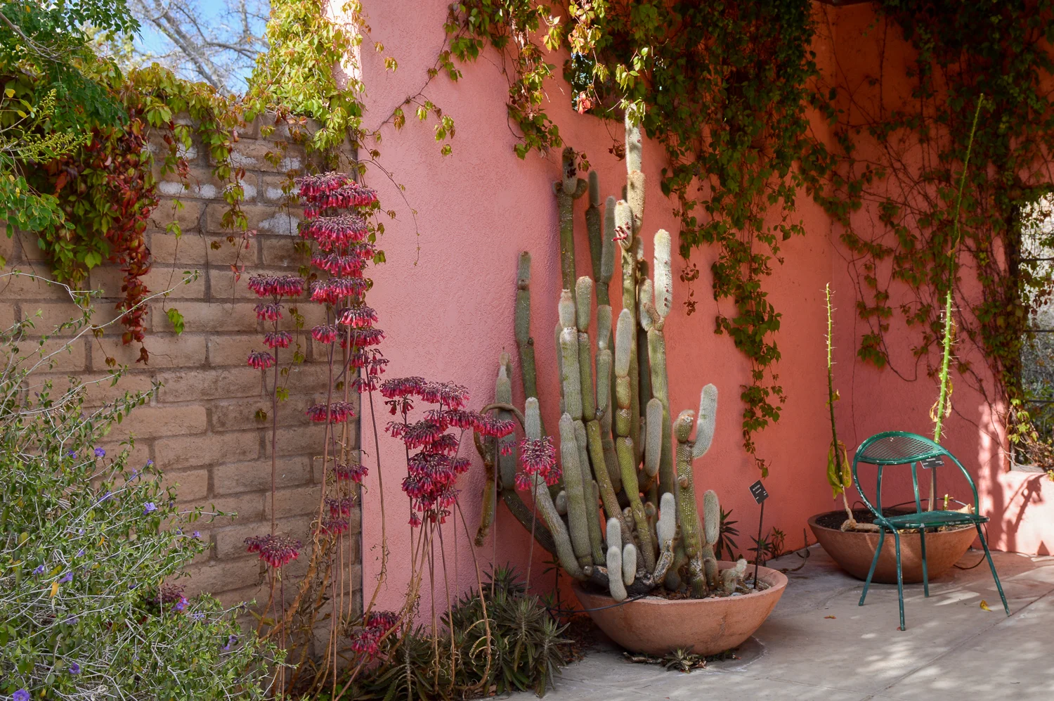 Tucson 2019 (78 of 94).jpg