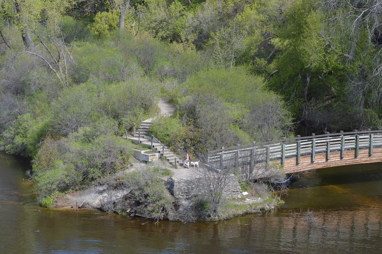 MN (58 of 63).jpg