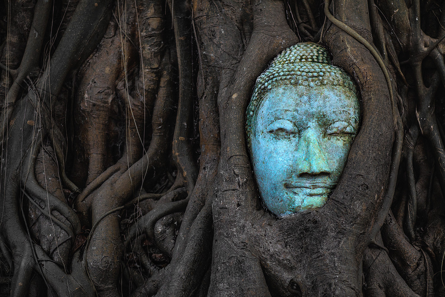 The Head Of Buddha