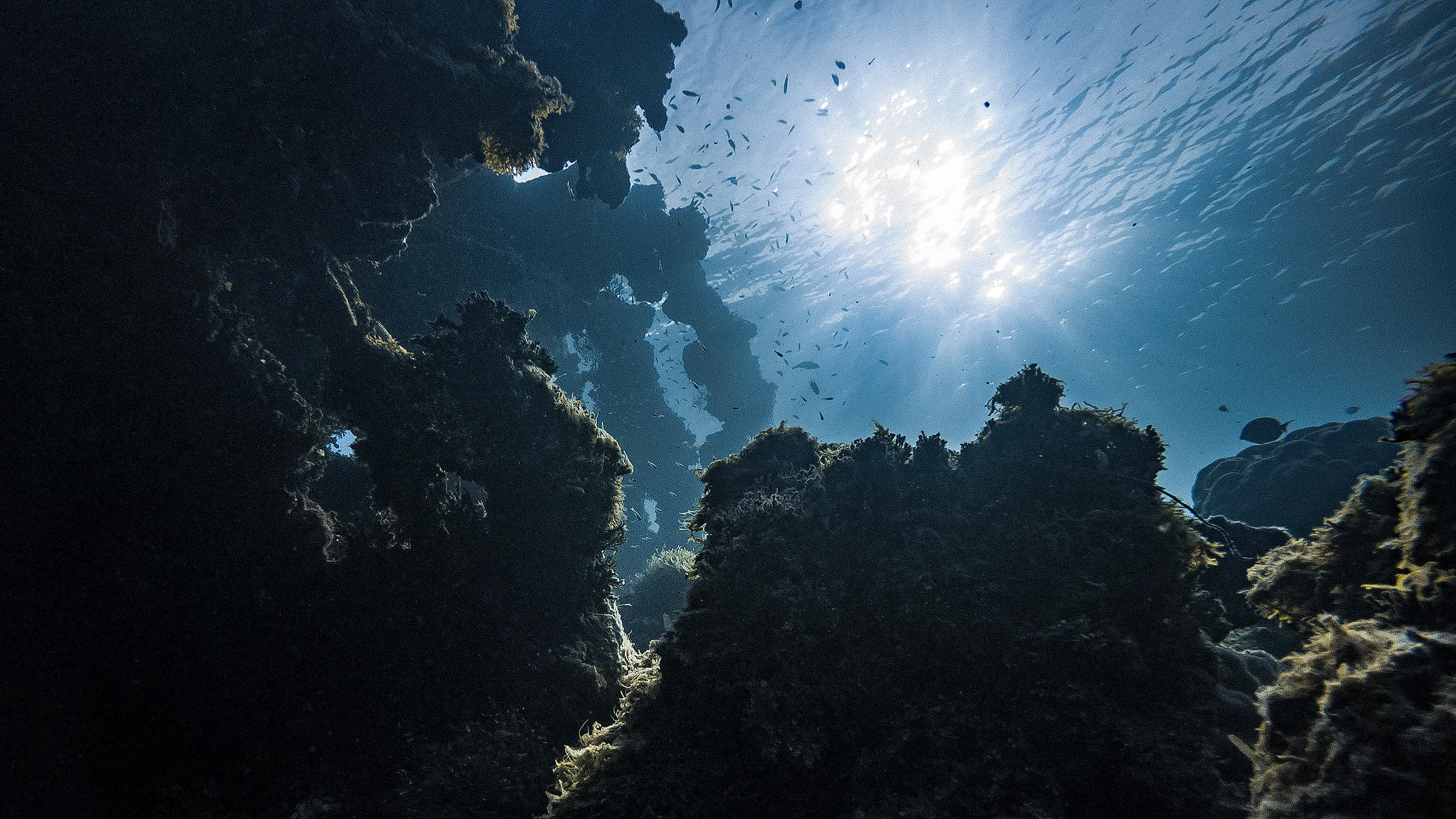 GOPR0728_2.jpg