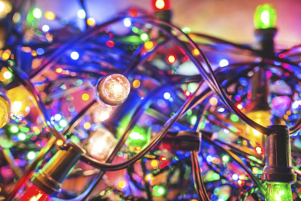 fairy lights web small.jpg