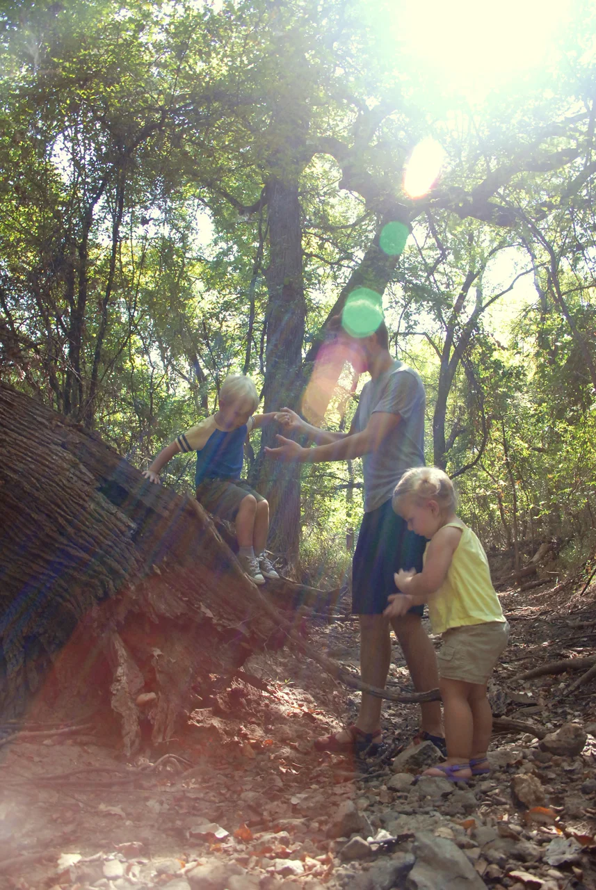 The Indian Oaks... an introduction