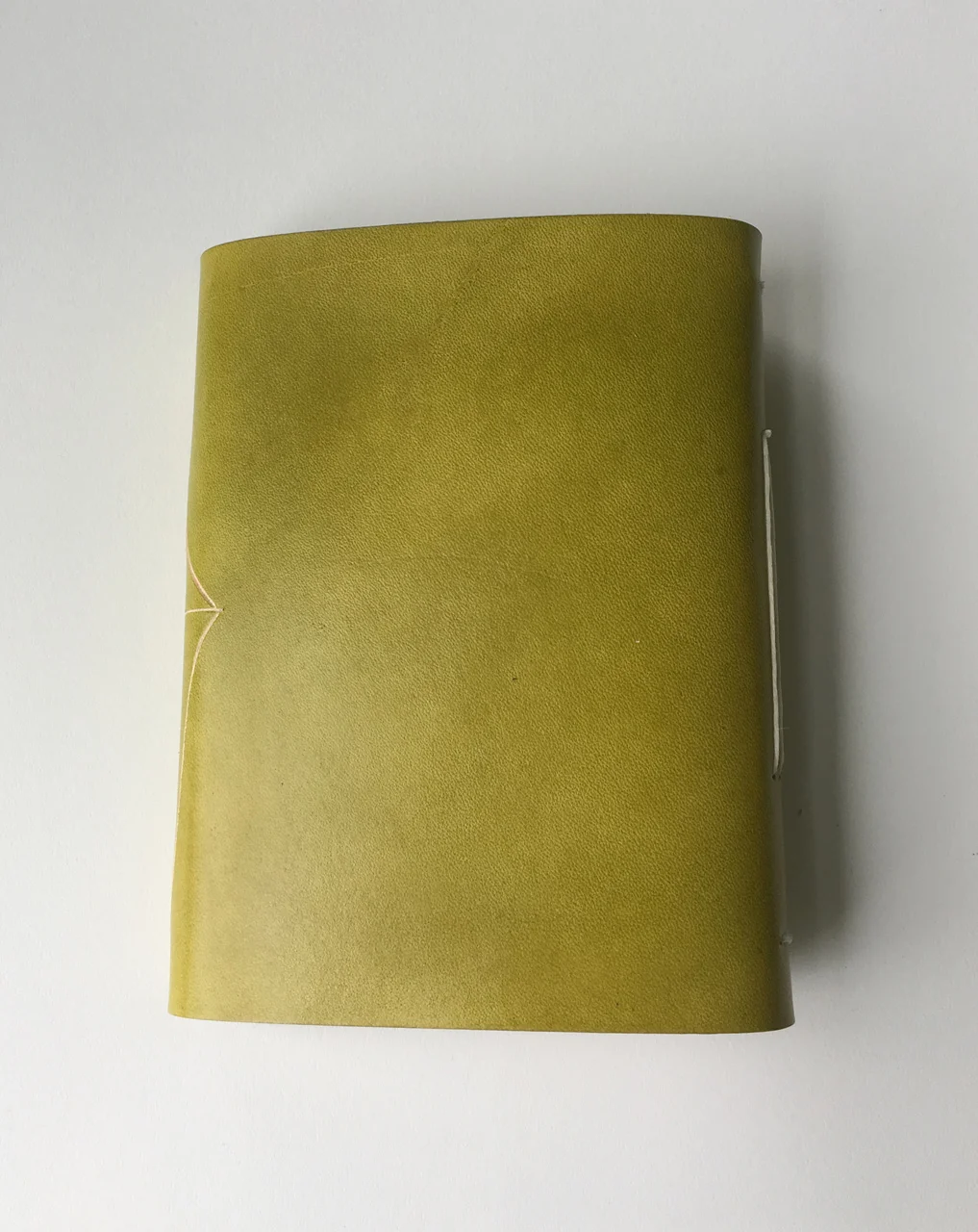 Journal-leaf-green-6.jpg