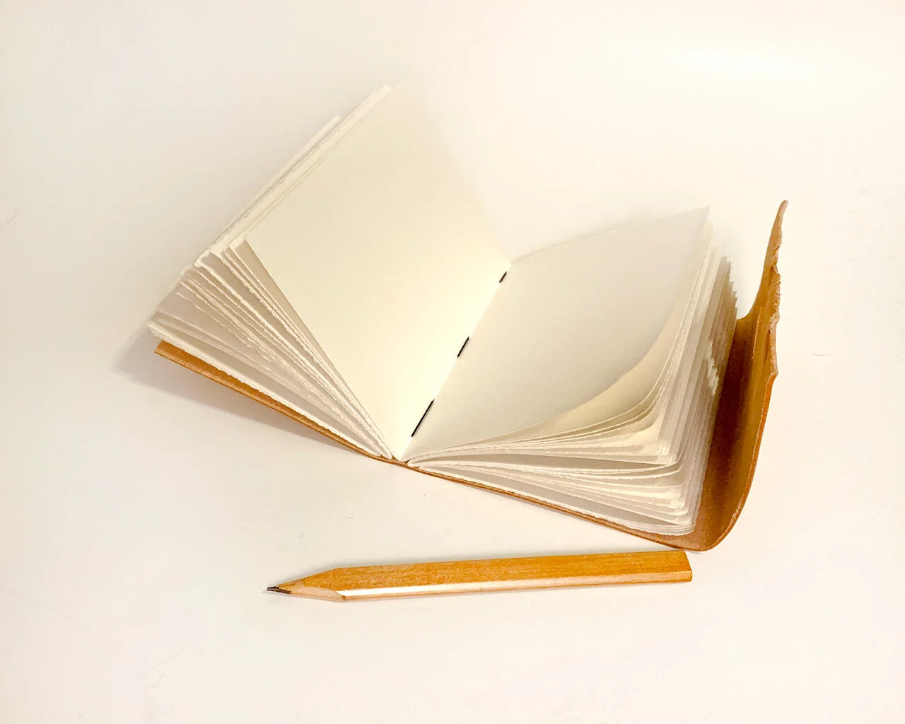 saddletanpenciljournalopen.jpg