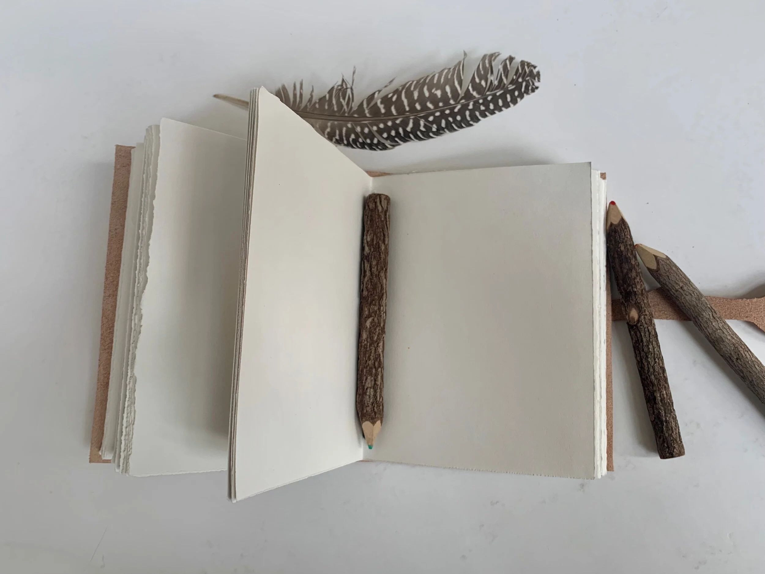 C86046BB-095A-4ED2-B7EF-FA21D0B4E67F