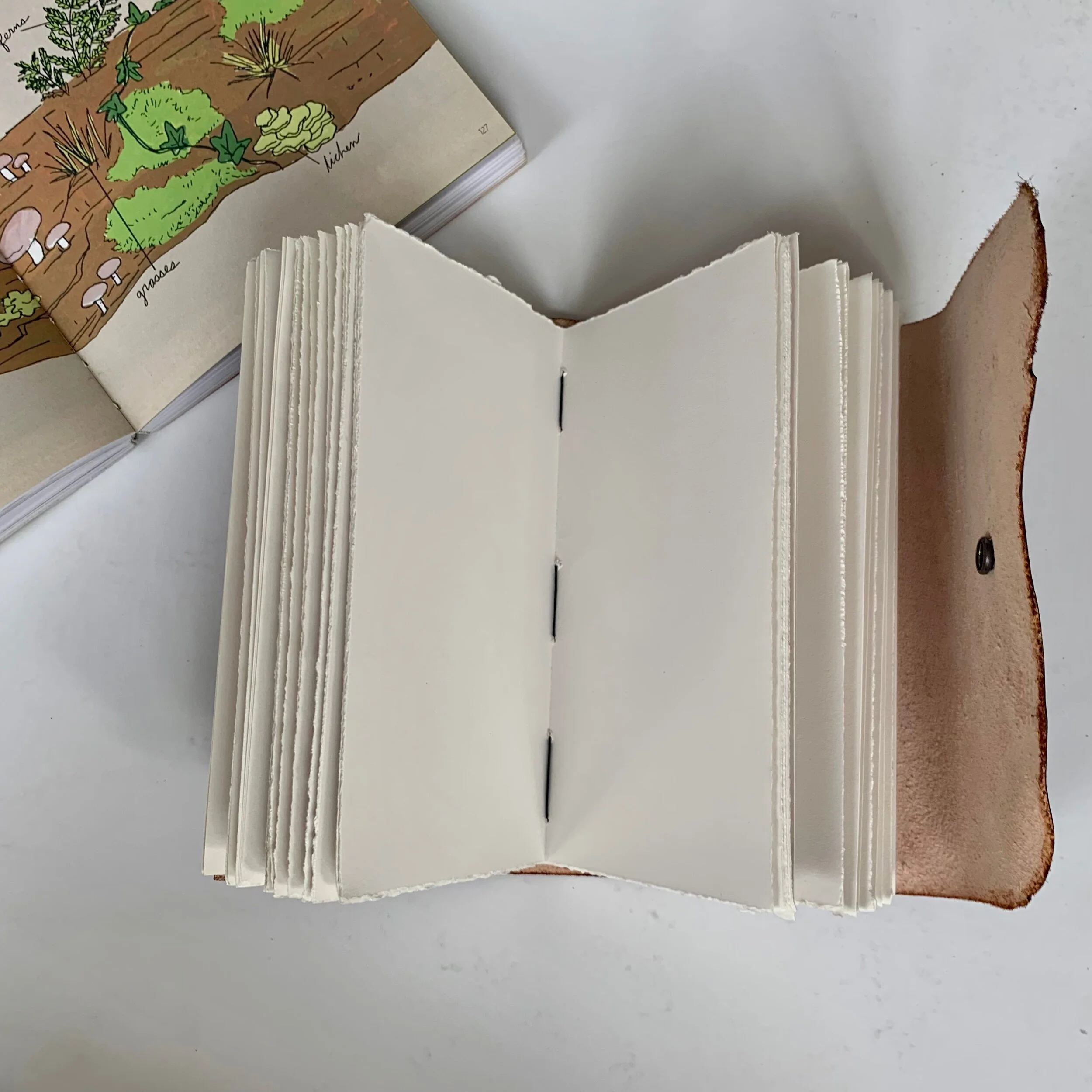 F833916A-10B9-4256-91DB-E18650F749B9