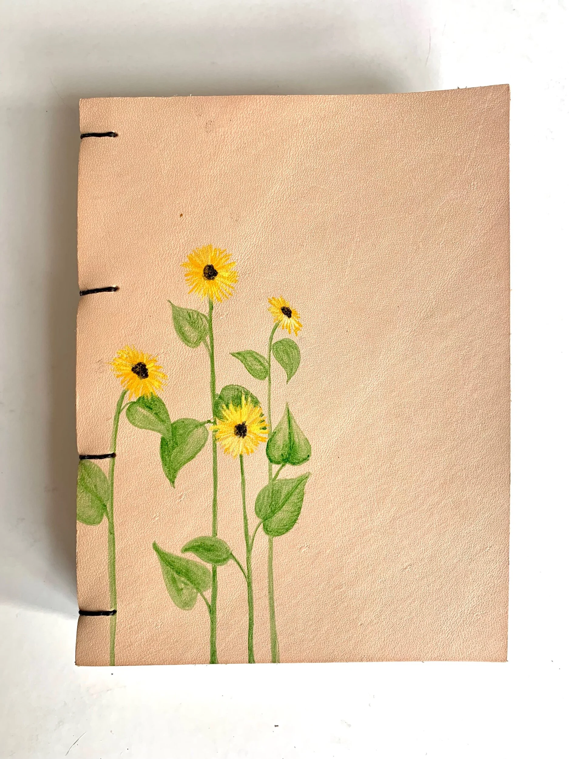 063DFFDE-B200-47C8-A203-ABA07DC5EB3C