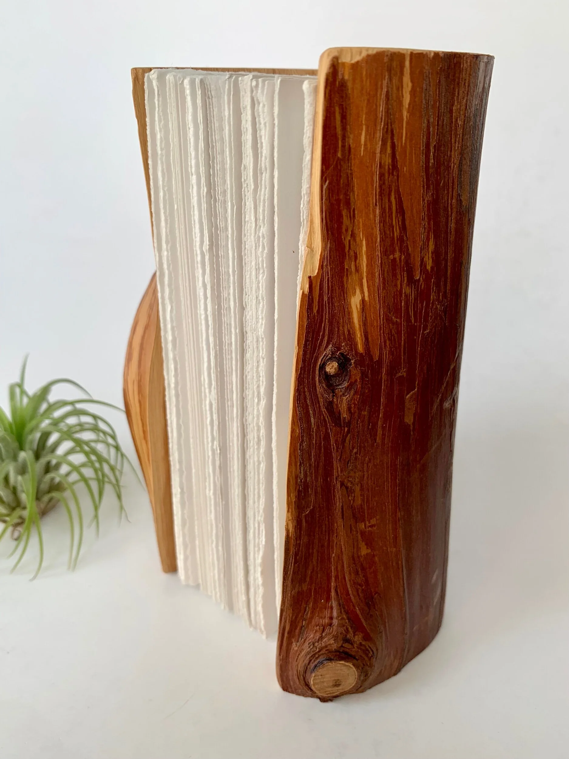 D4499375-FB8D-4E6C-8794-75E1BB6646A7