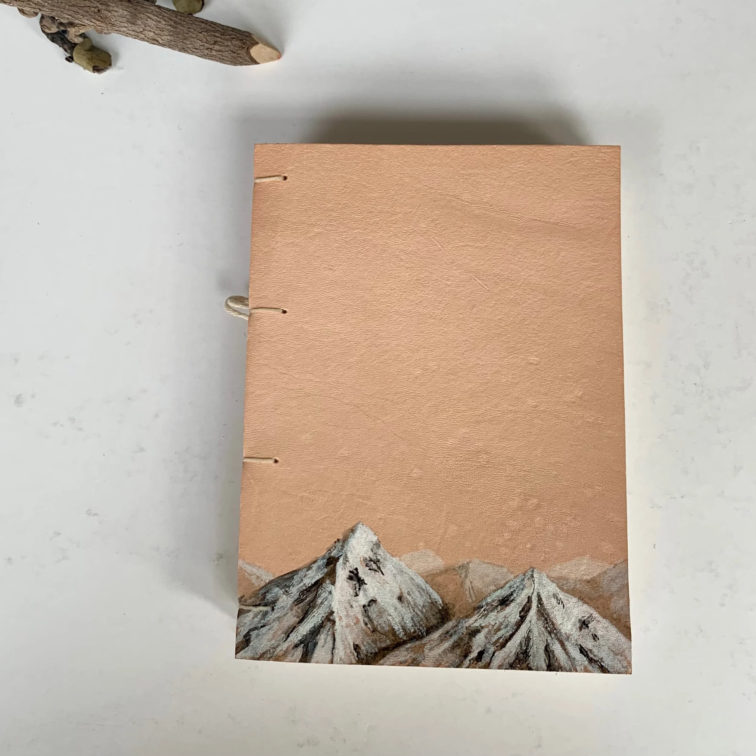 2A28AF75-9196-4C19-AB13-F3E76644E06F