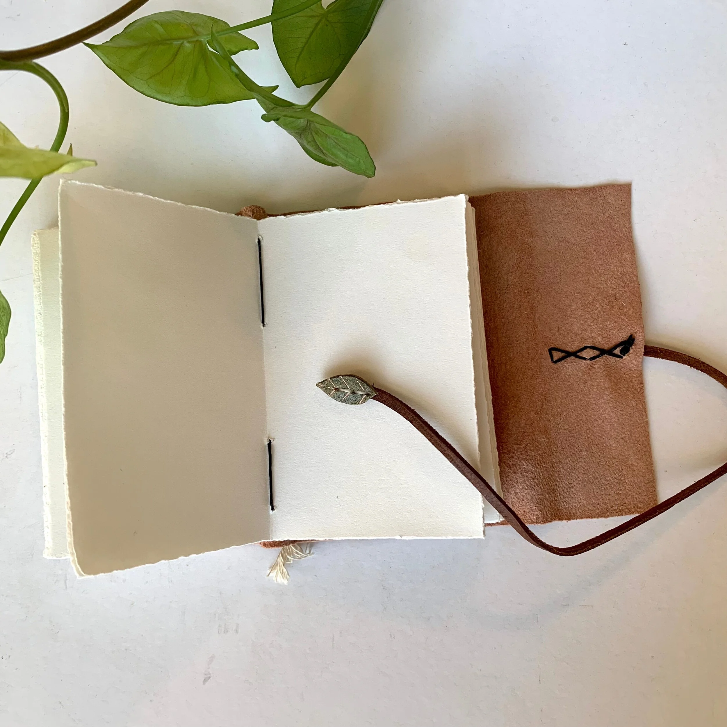 7CFF7025-A75A-4A2F-9304-5EC450BABD32