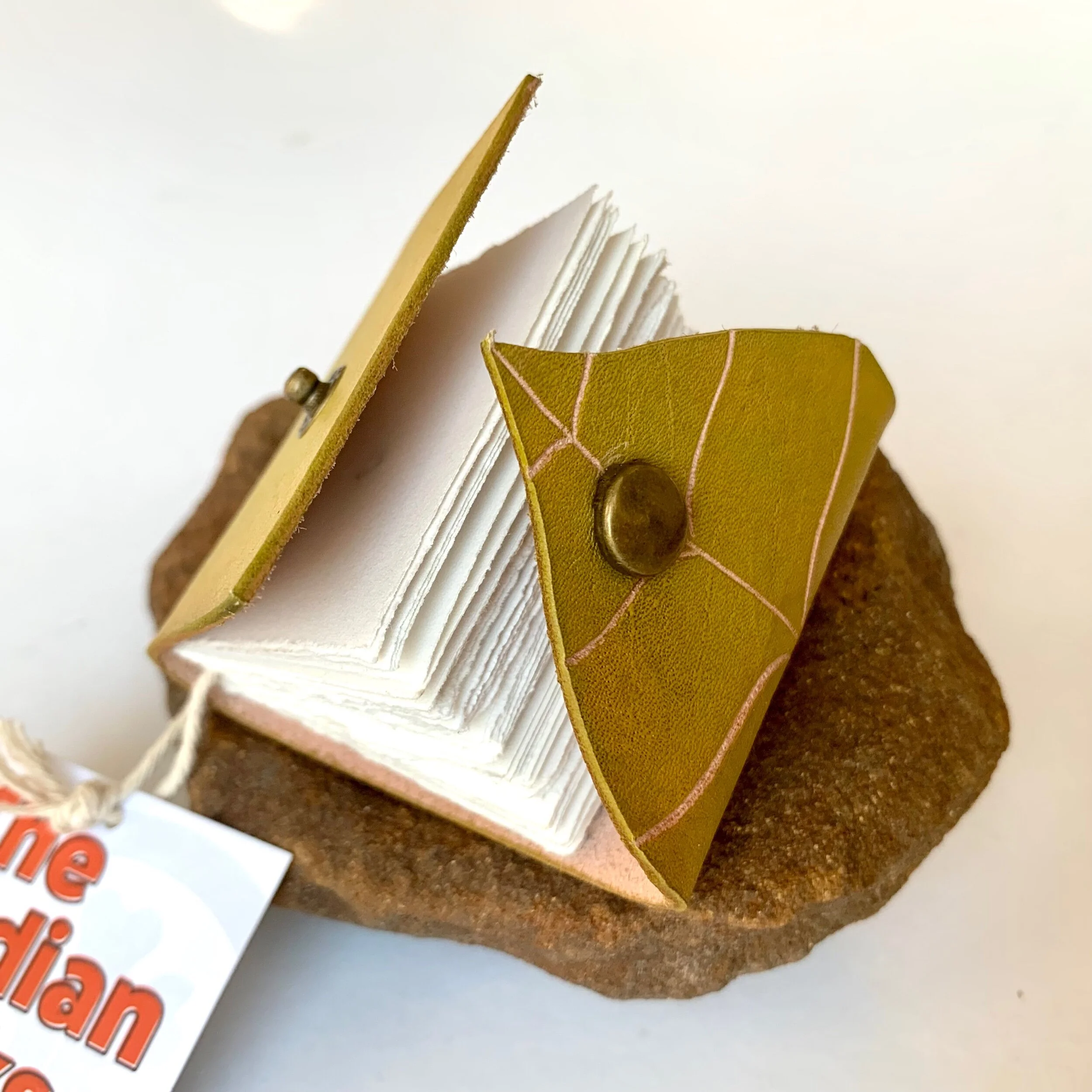 CED17FA3-82FD-473E-B95D-C785AD5FD970