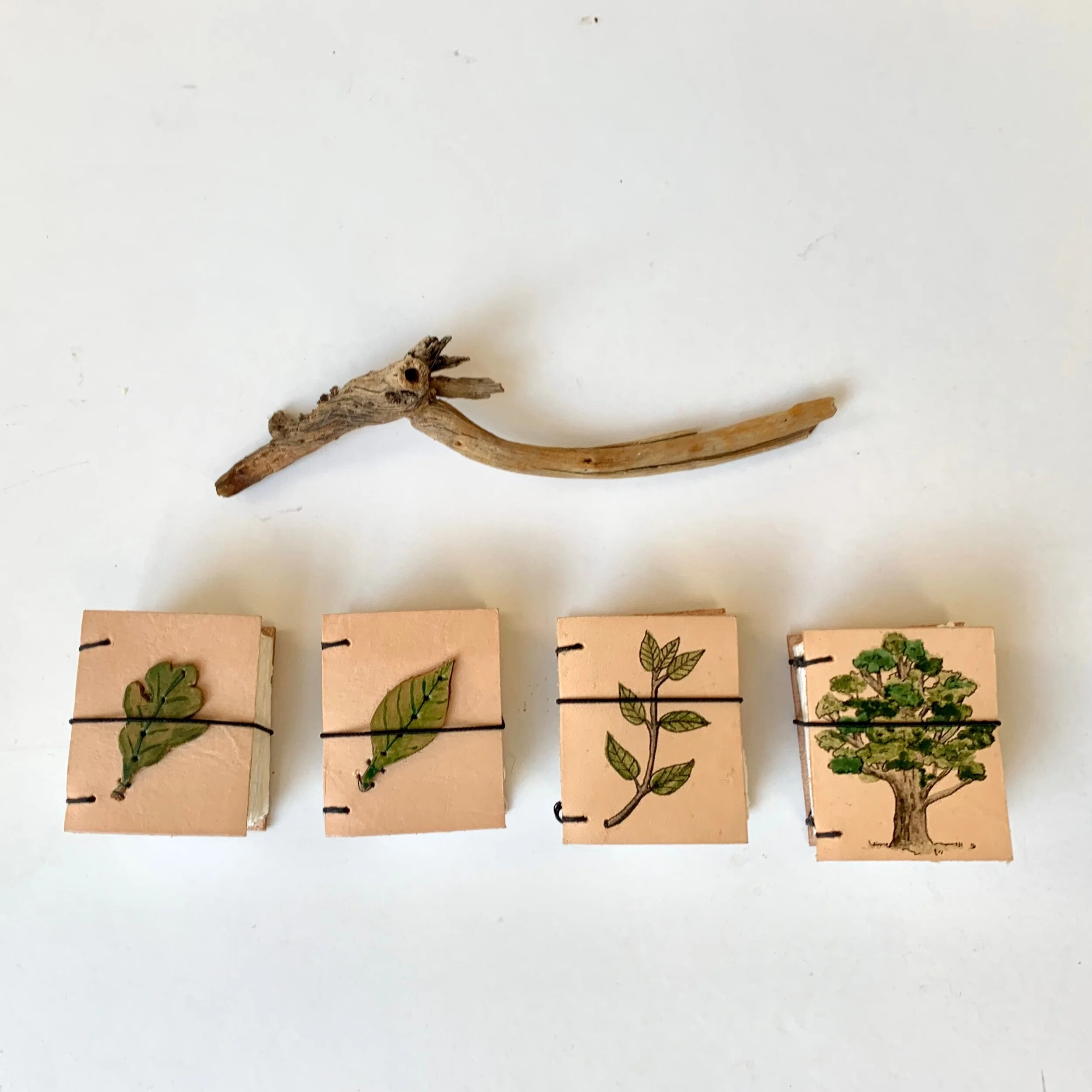 CB0379F5-D81B-482B-B758-0B885E58CD38