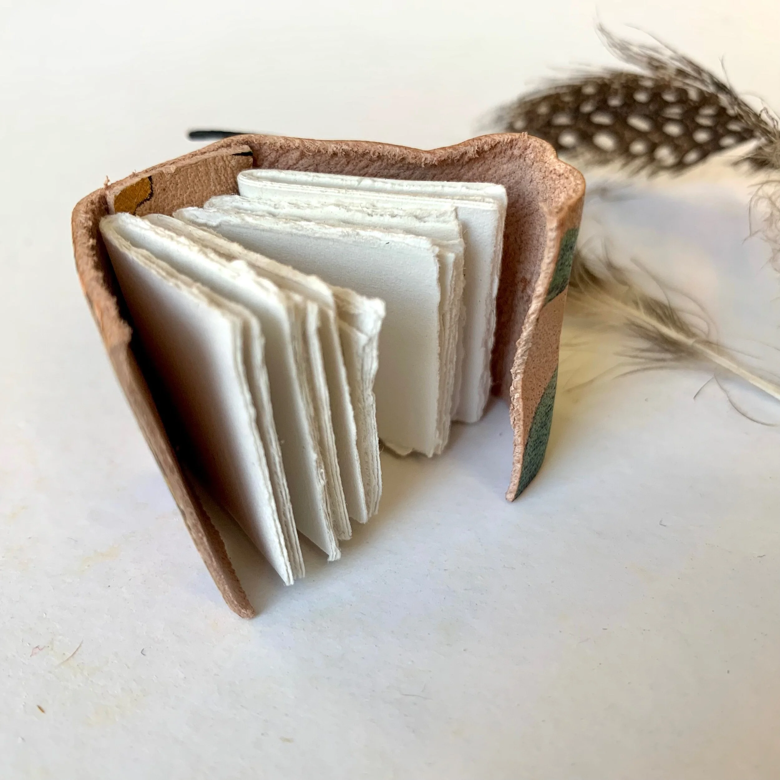 25F1F90A-7C7A-4DE3-A68B-D7E2AD91220F