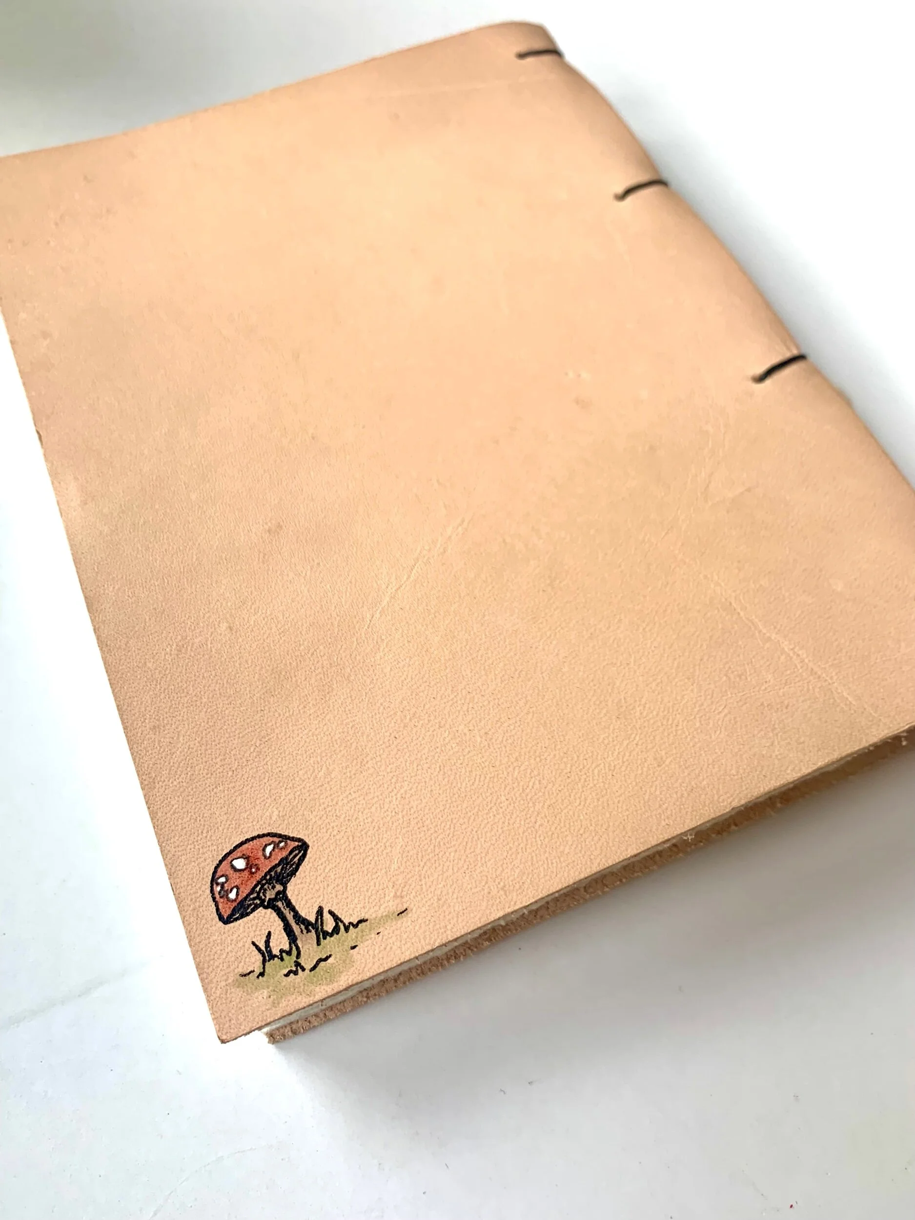 AFB42756-0D05-4766-A436-FD91BE4B7FB1