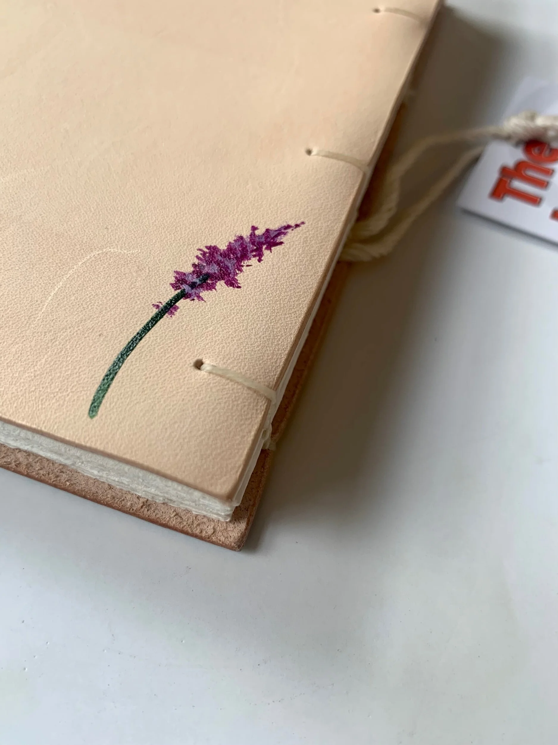 5AC911F8-3E6C-46A4-8502-C7FE77D3576D