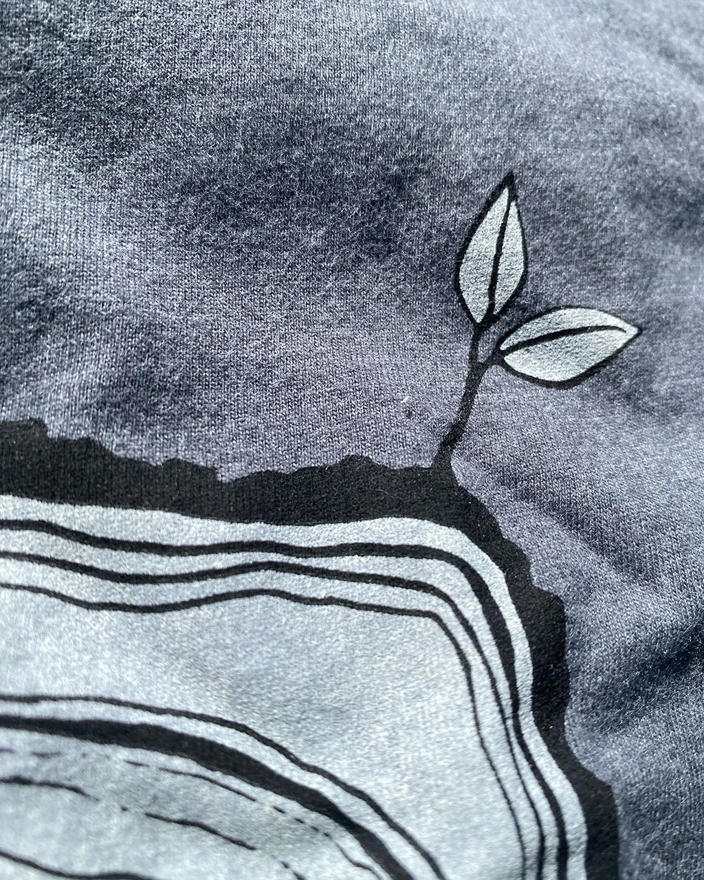 TexasTreeRingsGreyCUleaf.jpg