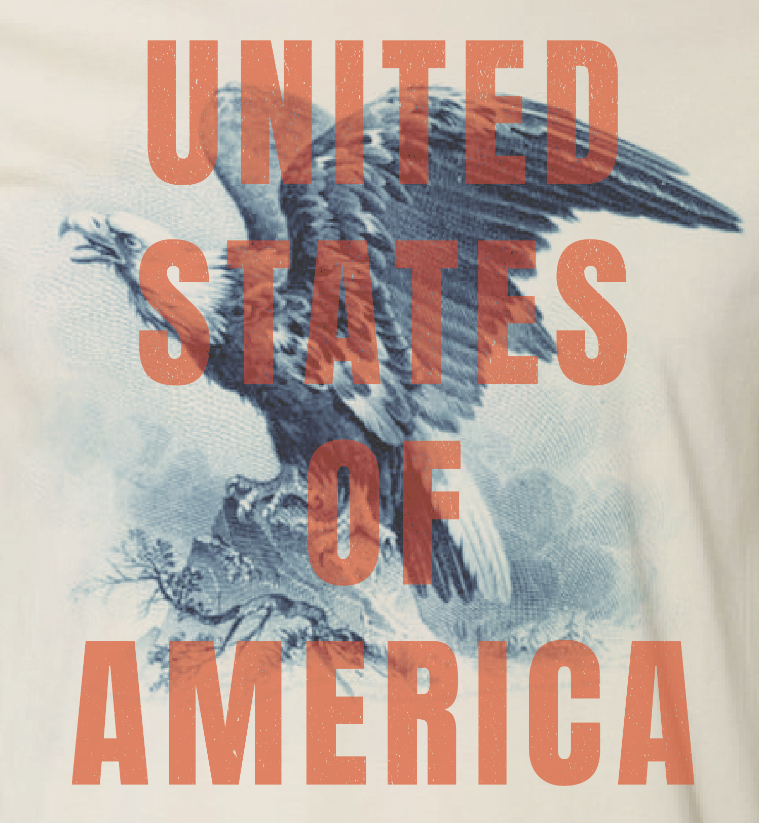 United States of America Eagle Shirt