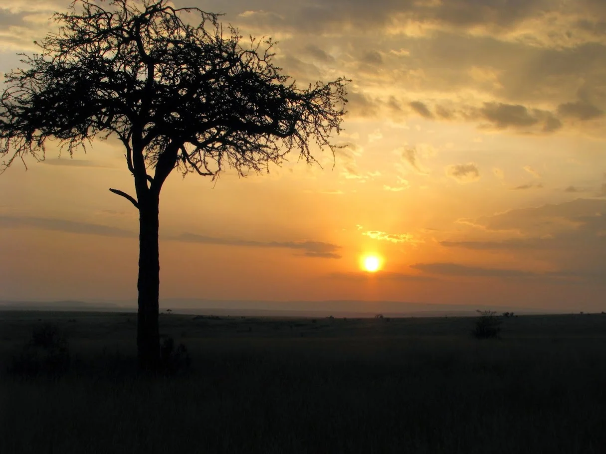 Kenya sunset 2.jpg